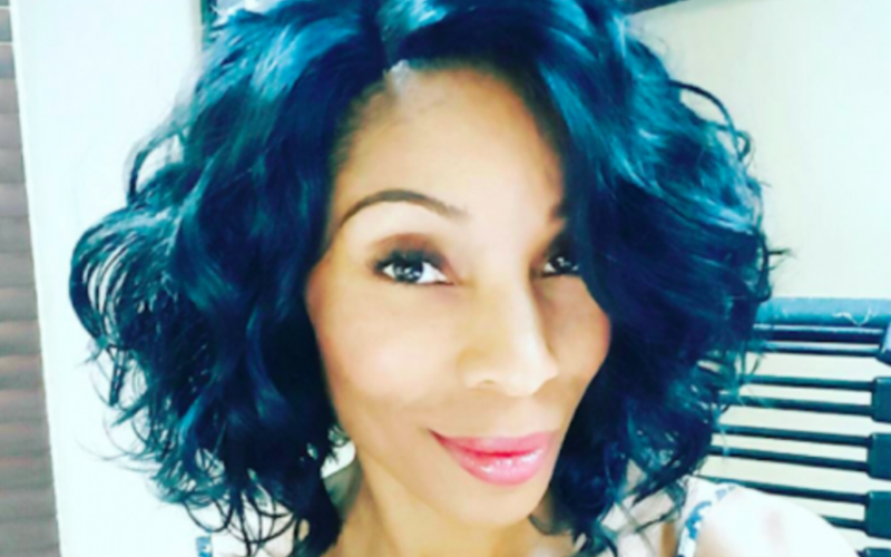 what happened to adina howard copy